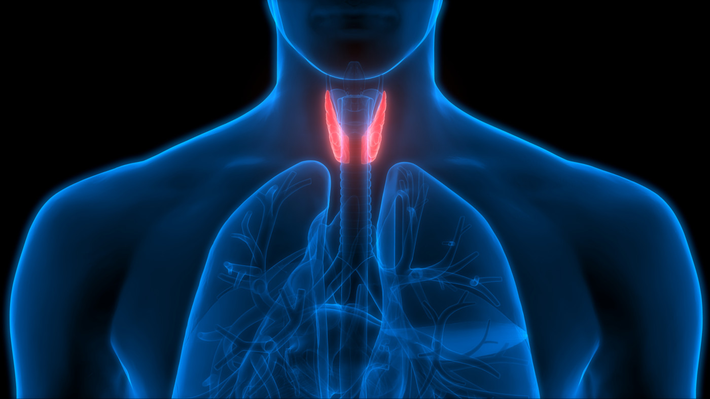 parathyroid recovery