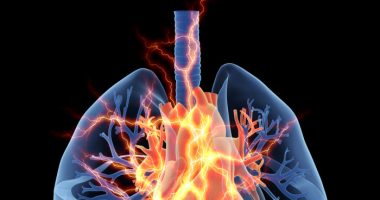 cardiovascular disease/hypoparathyroidismnews.com/disorders affecting heart blood vessels
