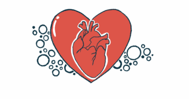 An image of a physical heart is shown inside a red heart.